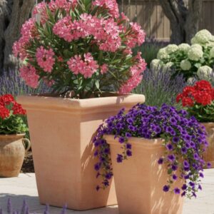 סט 2 כדי טרקוטה מרובעים