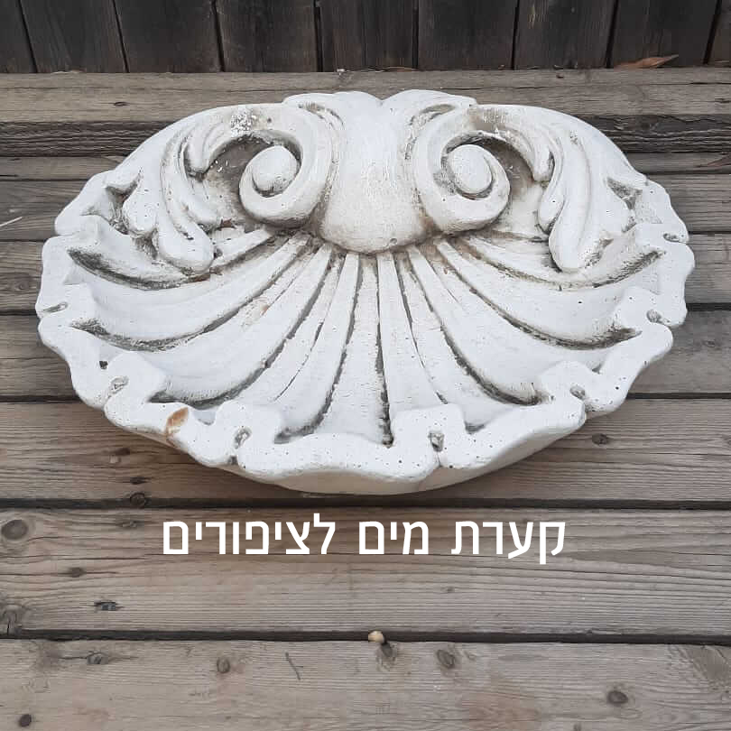 קערת מים לציפורים