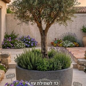 עציצים דמוי ביצה VT4-18