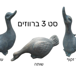 סט 3 ברווזים