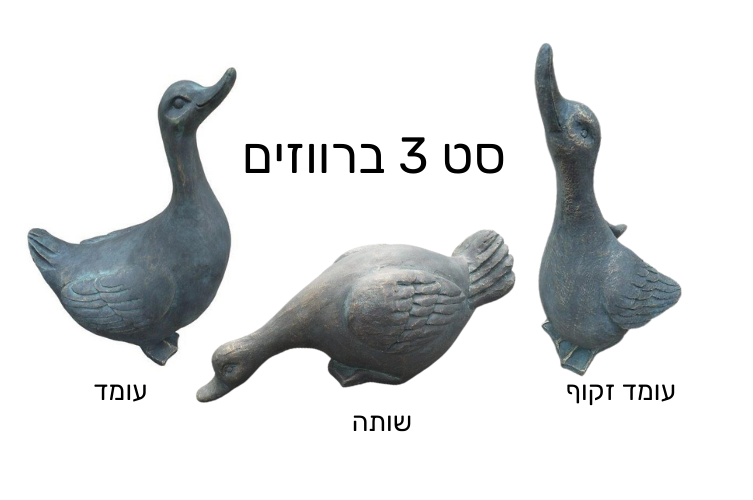 סט 3 ברווזים