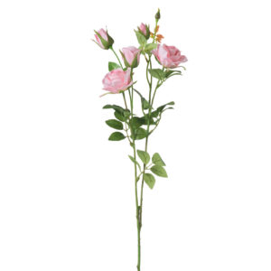 פרחים – צרור ורדים ורוד במראה טבעי (על גבעול יחיד)