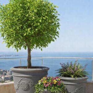 סט 3 כדים מעוצבים באפור