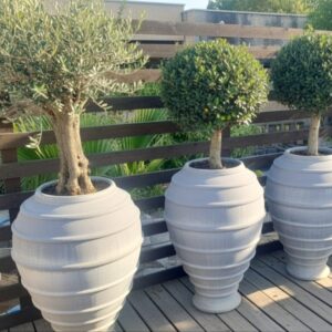 כד דקורטיבי אפור