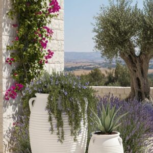 סט כדים - עציצים טרקוטה בצבע לבן