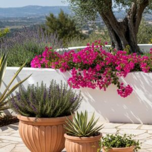 סט כדים - עציצים 3 יחידות טרקוטה חומה