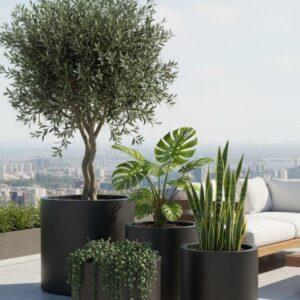 סט עגול 4 יחידות - שחור