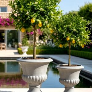 כד דמוי בטון מעוצב לגינה