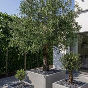 אדניות פיברסטון רבועיות GA30-1839 בצבע אפור