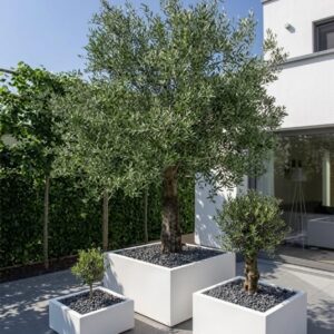 אדניות פיברסטון רבועיות GA30-1839 בצבע לבן