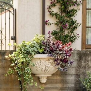 עציץ תלוי על קיר