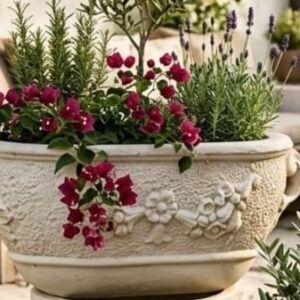 כד איטלקי אבן דגם 1225