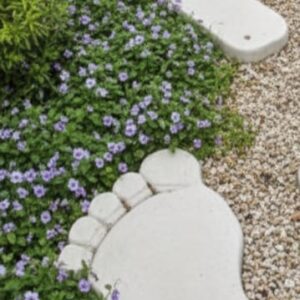 אבן מדרך בצורת כף רגל